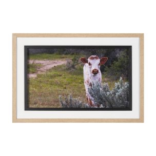 Longhorn 7 by Gary Blatter a Hand Embellished Framed Photo Art Print Matted under Glass