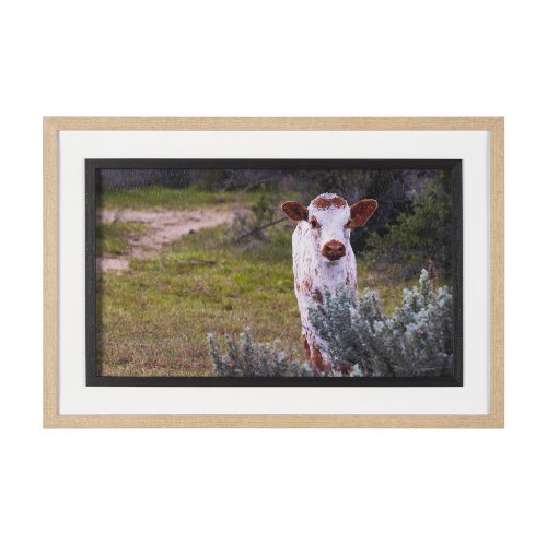 15497 - Longhorn 7 by Gary Blatter a Hand Embellished Framed Photo Art Print Matted under Glass