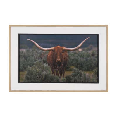 15498 - Longhorn 5 by Gary Blatter a Hand Embellished Framed Photo Art Print Matted under Glass