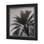 15534 - Palm Tree Sepia I by Debra Van Swearingen a Hand Embellished Framed Photo Art Print Matted under Gla