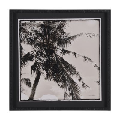 15535 - Palm Tree Sepia II by Debra Van Swearingen  a Hand Embellished Framed Photo Art Print Matted under G