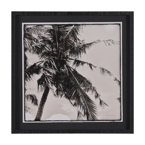 15535 - Palm Tree Sepia II by Debra Van Swearingen  a Hand Embellished Framed Photo Art Print Matted under G