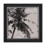 15535 - Palm Tree Sepia II by Debra Van Swearingen  a Hand Embellished Framed Photo Art Print Matted under G