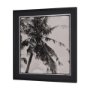 15535 - Palm Tree Sepia II by Debra Van Swearingen  a Hand Embellished Framed Photo Art Print Matted under G