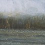 102634-FL - Spring is Coming I by Mercana Studio a Hand Embellished Textured Framed Canvas