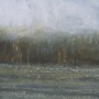 102635-FL - Spring is Coming II by Mercana Studio a Hand Embellished Textured Framed Canvas