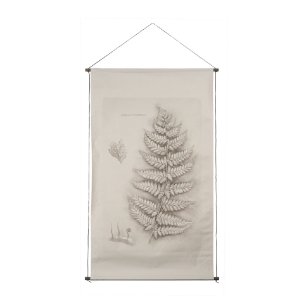 Fern Study II (Davallia Fejeensis) by Mercana Studio a Hand Embellished Framed Art Print
