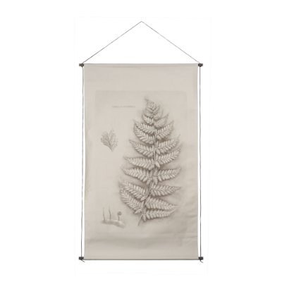 15513 - Fern Study II (Davallia Fejeensis) by Mercana Studio a Hand Embellished Framed Art Print