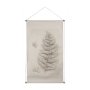 15513 - Fern Study II (Davallia Fejeensis) by Mercana Studio a Hand Embellished Framed Art Print