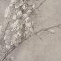 15479 - Cherry Blossom Sketch I by Mercana Studio a Hand Embellished Framed Art Print
