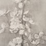 15479 - Cherry Blossom Sketch I by Mercana Studio a Hand Embellished Framed Art Print