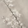 15480 - Cherry Blossom Sketch II by Mercana Studio a Hand Embellished Framed Art Print