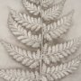 15513 - Fern Study II (Davallia Fejeensis) by Mercana Studio a Hand Embellished Framed Art Print