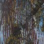 15525 - Papillon III by Mercana Studio a Hand Embellished Framed Art Print
