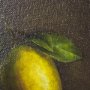 15528 - Lonely Lime by Mercana Studio a Hand Embellished Framed Art Print