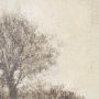 15532 - Old Style Landscape III by Mercana Studio a Hand Embellished Framed Art Print