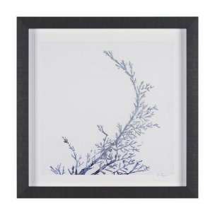 Evergreen Branches IV by Mercana Studio a Hand Embellished Framed Art Print Matted under Glass