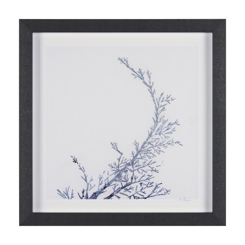 15547 - Evergreen Branches IV by Mercana Studio a Hand Embellished Framed Art Print Matted under Glass