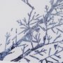 15547 - Evergreen Branches IV by Mercana Studio a Hand Embellished Framed Art Print Matted under Glass
