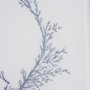 15547 - Evergreen Branches IV by Mercana Studio a Hand Embellished Framed Art Print Matted under Glass