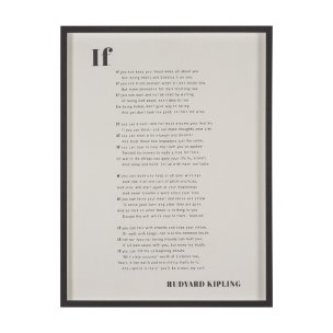 If You Can by Mercana Studio a Hand Embellished Framed Art Print Matted under Glass