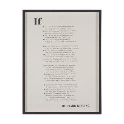15552 - If You Can by Mercana Studio a Hand Embellished Framed Art Print Matted under Glass