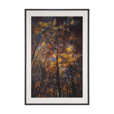 15554 - Leafy Shelter by Bobbie Goodrich a Hand Embellished Framed Photo Art Print Matted under Glass