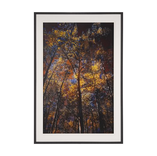 15554 - Leafy Shelter by Bobbie Goodrich a Hand Embellished Framed Photo Art Print Matted under Glass