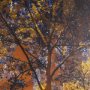 15554 - Leafy Shelter by Bobbie Goodrich a Hand Embellished Framed Photo Art Print Matted under Glass