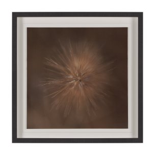 Curious by Stig Kalvelid a Hand Embellished Framed Photo Art Print Matted under Glass