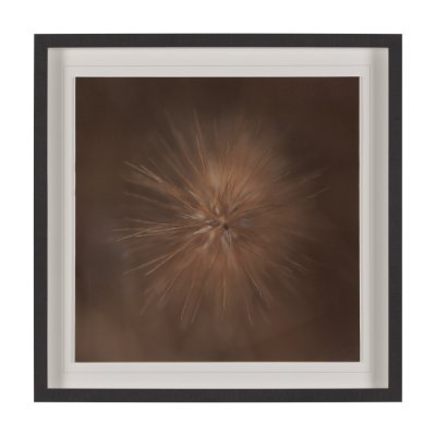 15555 - Curious by Stig Kalvelid a Hand Embellished Framed Photo Art Print Matted under Glass