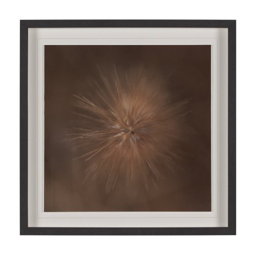 15555 - Curious by Stig Kalvelid a Hand Embellished Framed Photo Art Print Matted under Glass