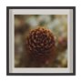 15556 - Down to Earth by Stig Kalvelid a Hand Embellished Framed Photo Art Print Matted under Glass