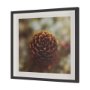 15556 - Down to Earth by Stig Kalvelid a Hand Embellished Framed Photo Art Print Matted under Glass