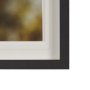 15556 - Down to Earth by Stig Kalvelid a Hand Embellished Framed Photo Art Print Matted under Glass