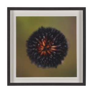 Glowing by Stig Kalvelid a Hand Embellished Framed Photo Art Print Matted under Glass