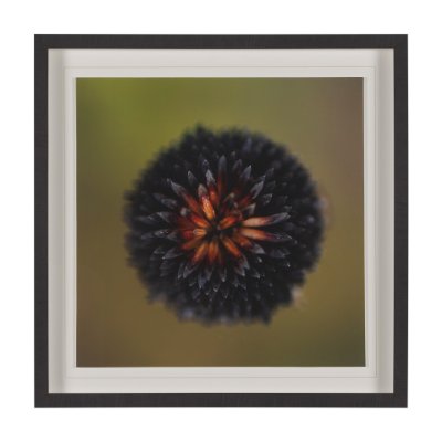 15557 - Glowing by Stig Kalvelid a Hand Embellished Framed Photo Art Print Matted under Glass