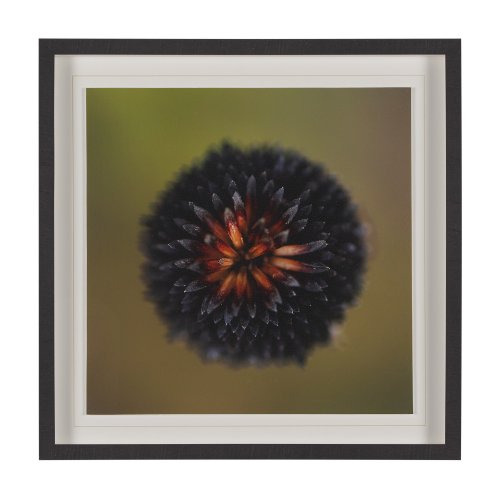 15557 - Glowing by Stig Kalvelid a Hand Embellished Framed Photo Art Print Matted under Glass