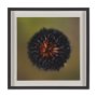 15557 - Glowing by Stig Kalvelid a Hand Embellished Framed Photo Art Print Matted under Glass