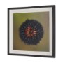 15557 - Glowing by Stig Kalvelid a Hand Embellished Framed Photo Art Print Matted under Glass