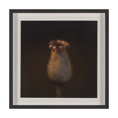 15558 - Collecting by Stig Kalvelid a Hand Embellished Framed Photo Art Print Matted under Glass