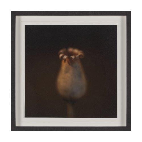 15558 - Collecting by Stig Kalvelid a Hand Embellished Framed Photo Art Print Matted under Glass