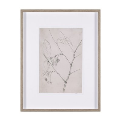 15560 - Chokecherry 2 by Mercana Studio a Hand Embellished Framed Art Print Matted under Glass