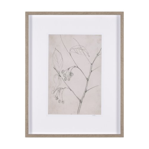 15560 - Chokecherry 2 by Mercana Studio a Hand Embellished Framed Art Print Matted under Glass