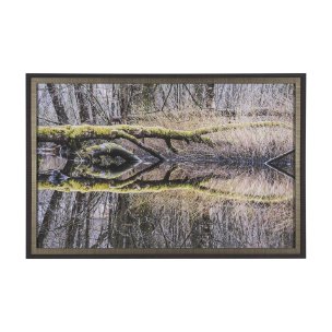 Branchscape Moss - Reflect by Mikael Svensson a Framed Photo Art Print Matted under Glass