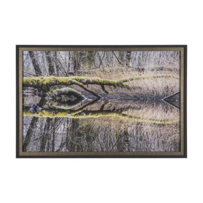 15588 - Branchscape Moss - Reflect by Mikael Svensson a Framed Photo Art Print Matted under Glass
