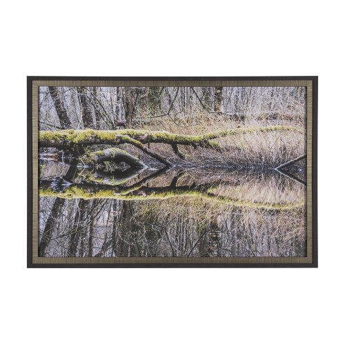 15588 - Branchscape Moss - Reflect by Mikael Svensson a Framed Photo Art Print Matted under Glass