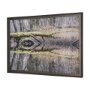 15588 - Branchscape Moss - Reflect by Mikael Svensson a Framed Photo Art Print Matted under Glass