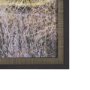 15588 - Branchscape Moss - Reflect by Mikael Svensson a Framed Photo Art Print Matted under Glass