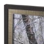 15588 - Branchscape Moss - Reflect by Mikael Svensson a Framed Photo Art Print Matted under Glass